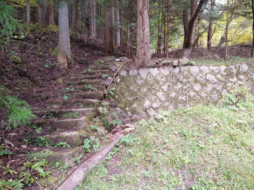 神社の近くには謎の石階段が。これは登るしか。