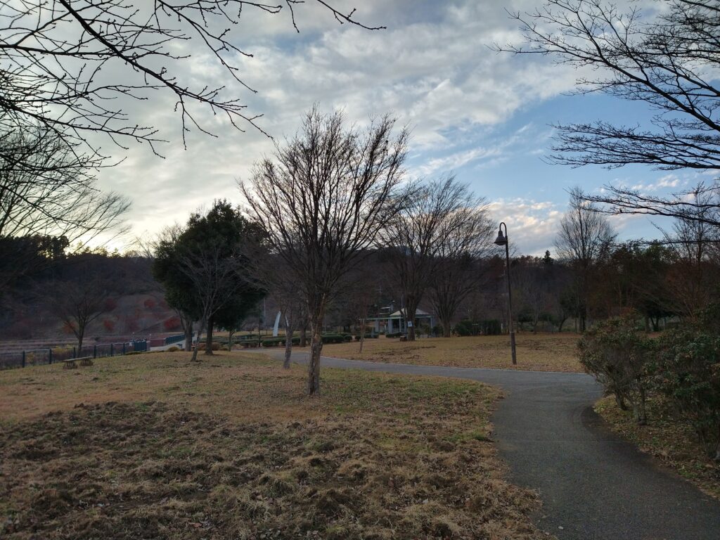 公園内に人の影はまばら。寂しい感じ。