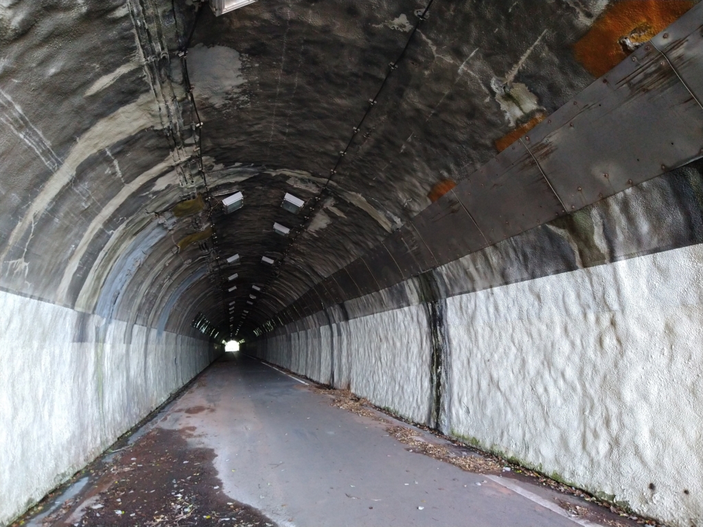 隧道の壁は、近年塗り替えられた跡があります。