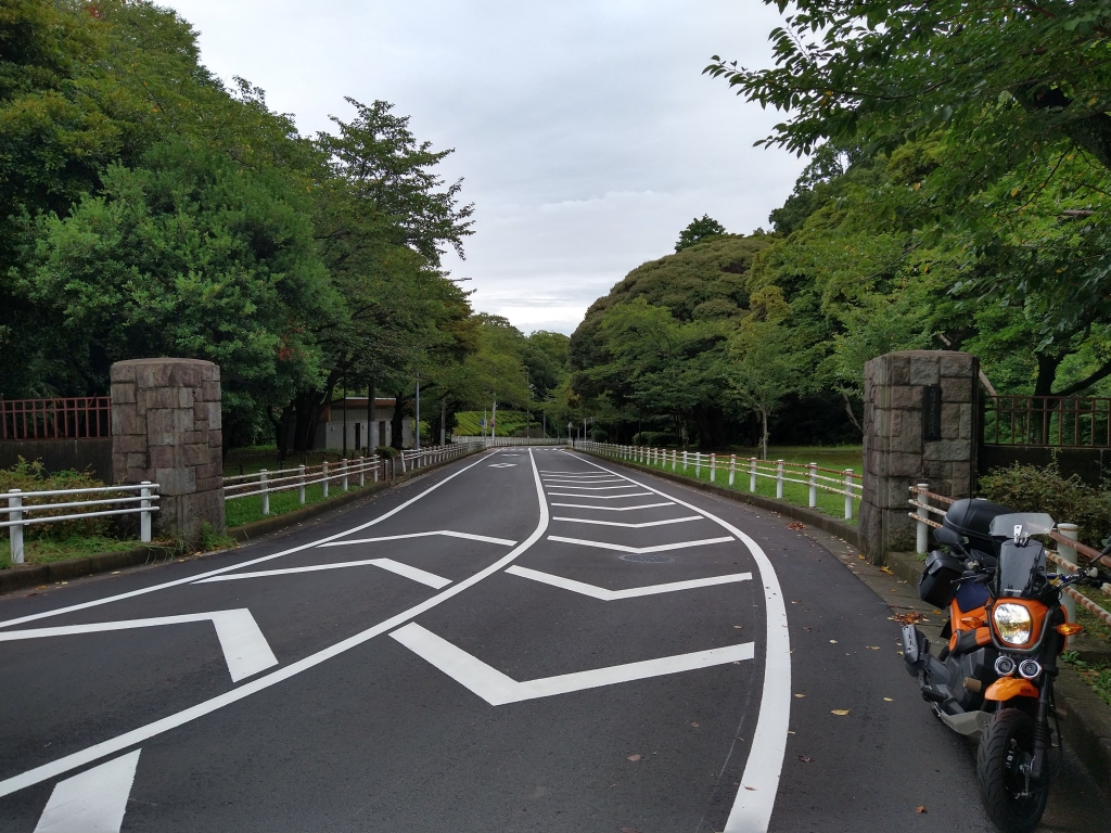 横濱海軍航空隊隊門跡。真新しい道路に映えます。