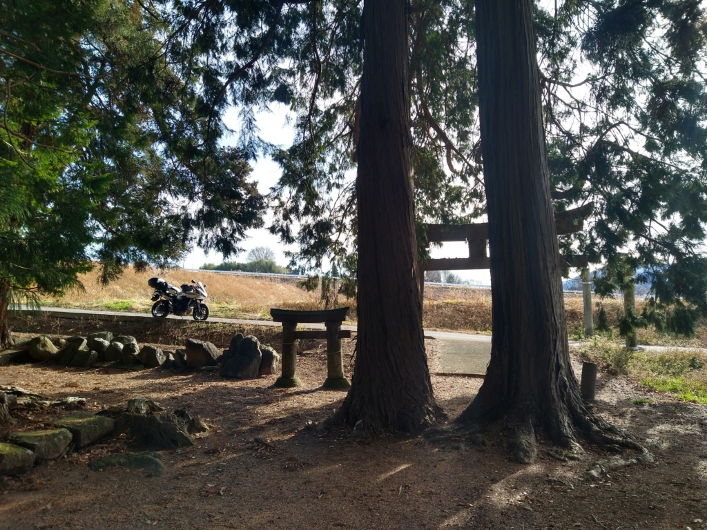大きな方の鳥居の後ろには、鳥居を思わせる二本の巨木。
