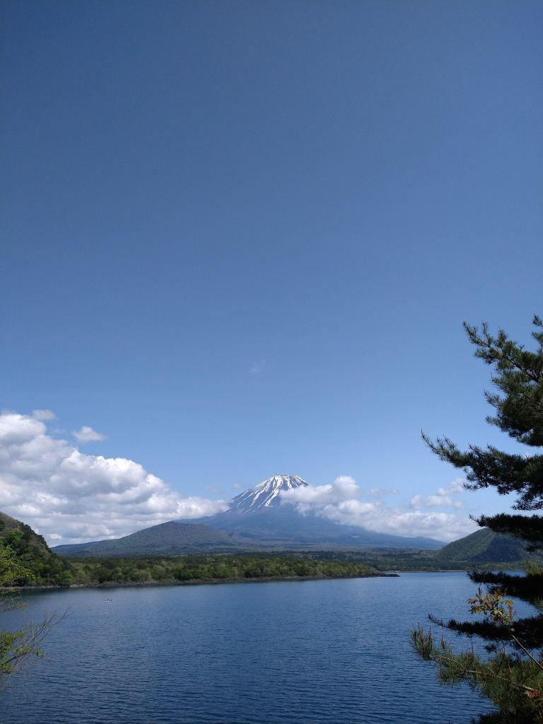 本栖湖越しの富士山。いい天気でよく見えました。