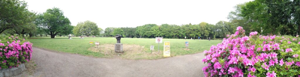 芹沢公園。マナーを守ればボール遊びもワンちゃんもOK！